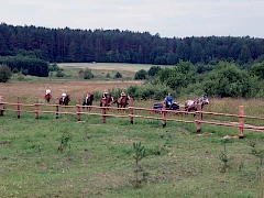Конные прогулки и занятия для неопытных всадников