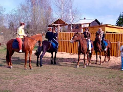 Конные прогулки и занятия для неопытных всадников