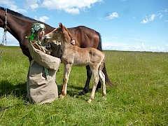 Сказочный хутор