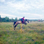 Конный спорт
