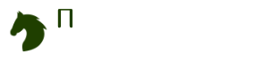 Псковский центр конного туризма